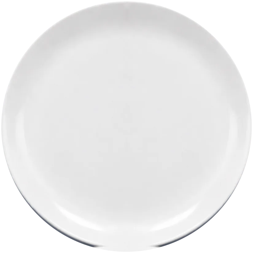 A white dinner plate
