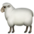 100% Sheep Wool
